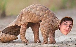 am